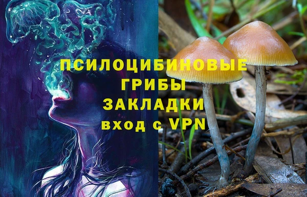ешки Балахна